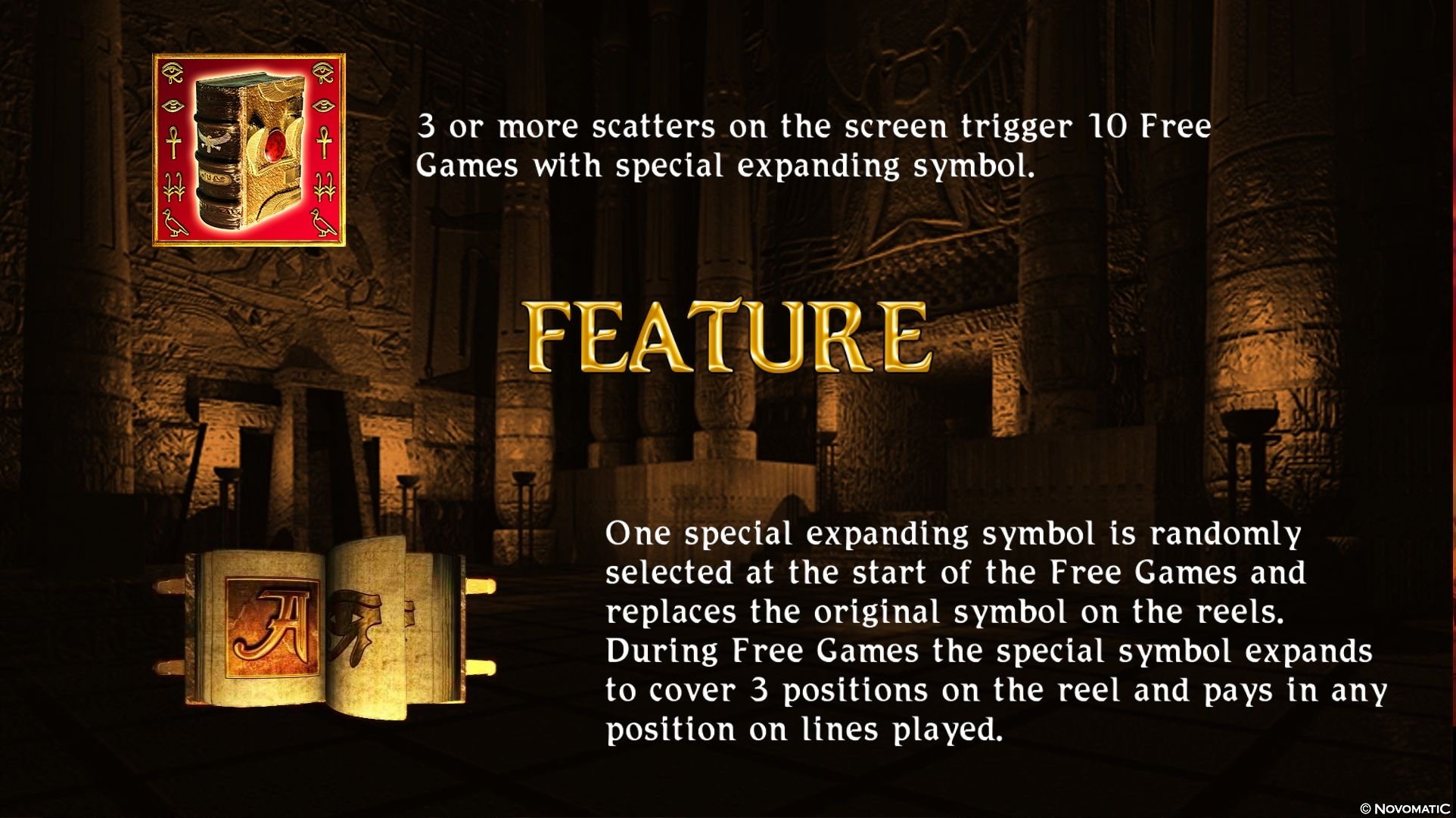 Book of Ra™ deluxe – Bonus-Feature und Freispiele (3)